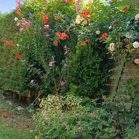 Apartmán De Nauzan - L'agora Calme Avec Jardin *